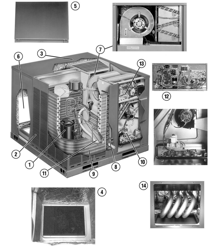 Ruud Ton Gas Package Unit Authentic | www.pinnaxis.com